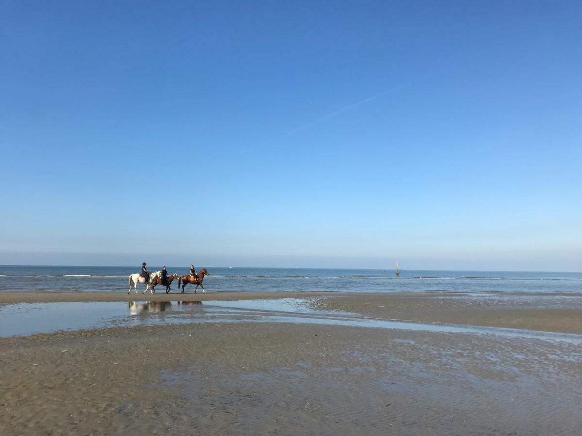 Koksijde Zeedijk Res Manh Apartman Kültér fotó